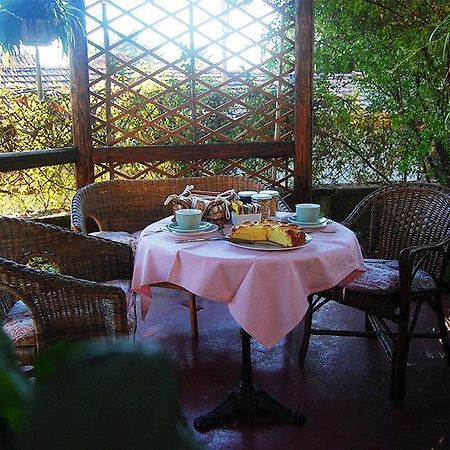 Bed and Breakfast Le Camelie Brissago-Valtravaglia Exterior foto