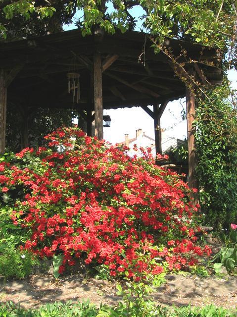 Bed and Breakfast Le Camelie Brissago-Valtravaglia Exterior foto