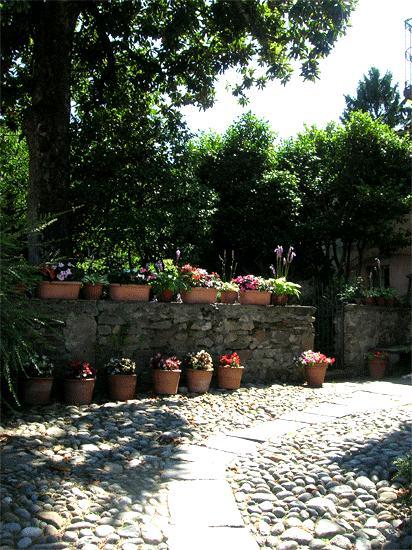 Bed and Breakfast Le Camelie Brissago-Valtravaglia Exterior foto